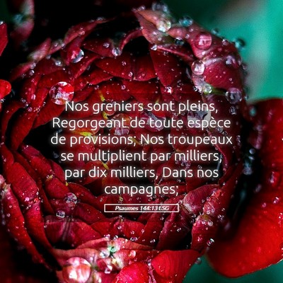 Picture 05 - Psaumes 144:13 LSG - Nos greniers sont pleins, Regorgeant de toute - Bible Verse Picture