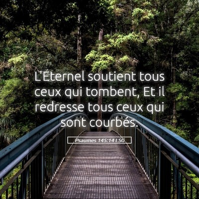 Picture 05 - Psaumes 145:14 LSG - L'Eternel soutient tous ceux qui tombent, Et il - Bible Verse Picture
