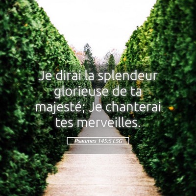 Picture 05 - Psaumes 145:5 LSG - Je dirai la splendeur glorieuse de ta majesté; - Bible Verse Picture