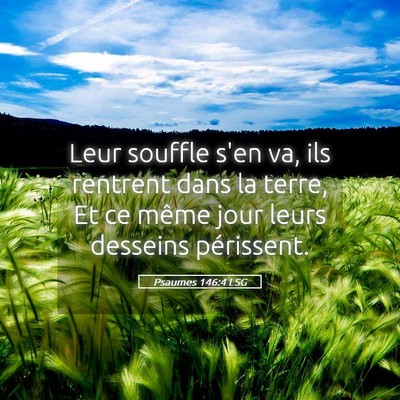 Picture 05 - Psaumes 146:4 LSG - Leur souffle s'en va, ils rentrent dans la terre, - Bible Verse Picture