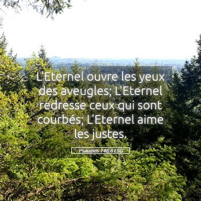 Picture 05 - Psaumes 146:8 LSG - L'Eternel ouvre les yeux des aveugles; L'Eternel - Bible Verse Picture