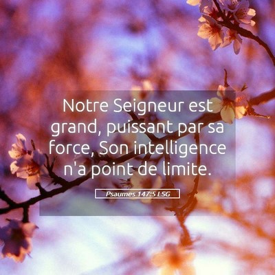 Picture 05 - Psaumes 147:5 LSG - Notre Seigneur est grand, puissant par sa force, - Bible Verse Picture