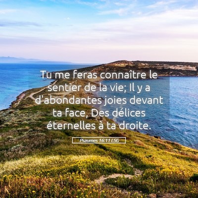 Picture 05 - Psaumes 16:11 LSG - Tu me feras connaître le sentier de la vie; Il y - Bible Verse Picture