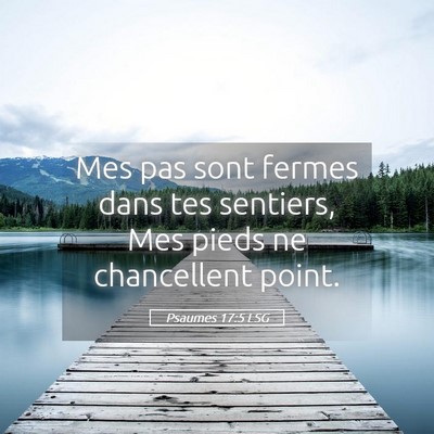 Picture 05 - Psaumes 17:5 LSG - Mes pas sont fermes dans tes sentiers, Mes pieds - Bible Verse Picture