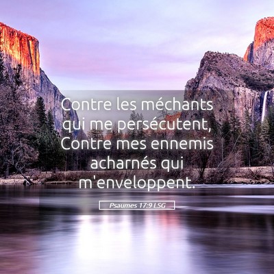 Picture 05 - Psaumes 17:9 LSG - Contre les méchants qui me persécutent, Contre - Bible Verse Picture
