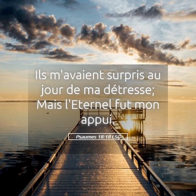 Picture 05 - Psaumes 18:18 LSG - Ils m'avaient surpris au jour de ma détresse; - Bible Verse Picture