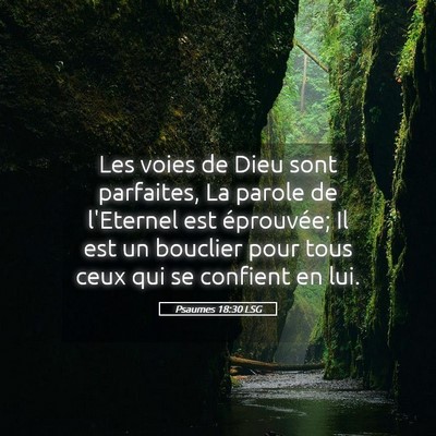 Picture 05 - Psaumes 18:30 LSG - Les voies de Dieu sont parfaites, La parole de - Bible Verse Picture