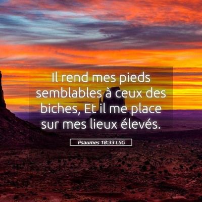 Picture 05 - Psaumes 18:33 LSG - Il rend mes pieds semblables à ceux des biches, - Bible Verse Picture