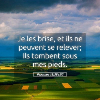 Picture 05 - Psaumes 18:38 LSG - Je les brise, et ils ne peuvent se relever; Ils - Bible Verse Picture