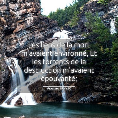Picture 05 - Psaumes 18:4 LSG - Les liens de la mort m'avaient environné, Et les - Bible Verse Picture