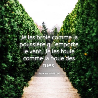 Picture 05 - Psaumes 18:42 LSG - Je les broie comme la poussière qu'emporte le - Bible Verse Picture