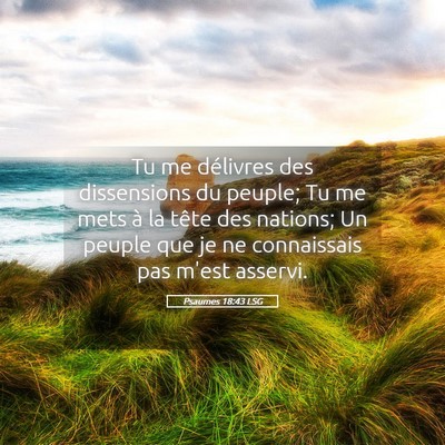 Picture 05 - Psaumes 18:43 LSG - Tu me délivres des dissensions du peuple; Tu me - Bible Verse Picture