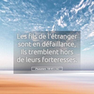 Picture 05 - Psaumes 18:45 LSG - Les fils de l'étranger sont en défaillance, Ils - Bible Verse Picture