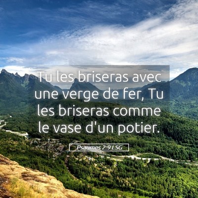 Picture 05 - Psaumes 2:9 LSG - Tu les briseras avec une verge de fer, Tu les - Bible Verse Picture