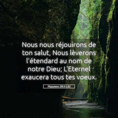Picture 05 - Psaumes 20:5 LSG - Nous nous réjouirons de ton salut, Nous - Bible Verse Picture