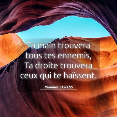 Picture 05 - Psaumes 21:8 LSG - Ta main trouvera tous tes ennemis, Ta droite - Bible Verse Picture