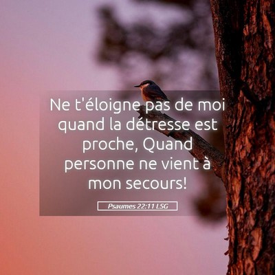 Picture 05 - Psaumes 22:11 LSG - Ne t'éloigne pas de moi quand la détresse est - Bible Verse Picture