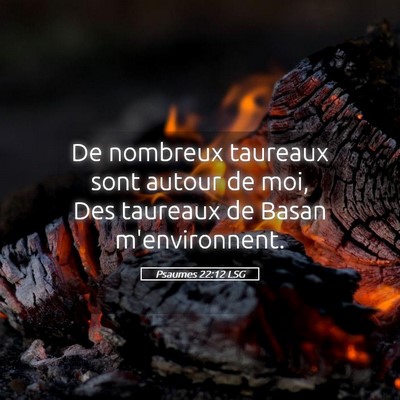 Picture 05 - Psaumes 22:12 LSG - De nombreux taureaux sont autour de moi, Des - Bible Verse Picture
