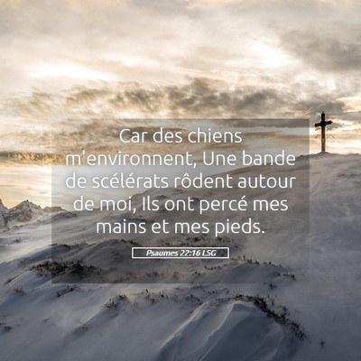 Picture 05 - Psaumes 22:16 LSG - Car des chiens m'environnent, Une bande de - Bible Verse Picture