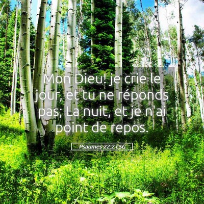 Picture 05 - Psaumes 22:2 LSG - Mon Dieu! je crie le jour, et tu ne réponds pas; - Bible Verse Picture