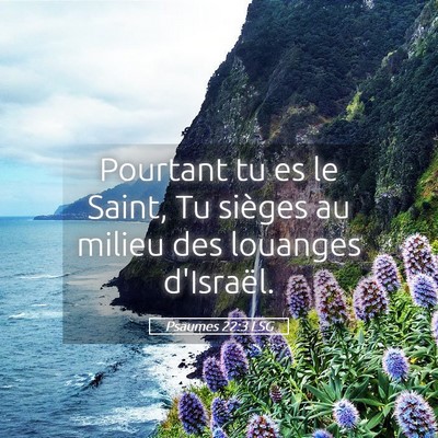 Picture 05 - Psaumes 22:3 LSG - Pourtant tu es le Saint, Tu sièges au milieu des - Bible Verse Picture