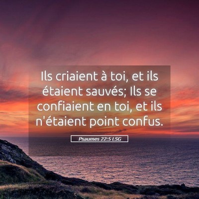 Picture 05 - Psaumes 22:5 LSG - Ils criaient à toi, et ils étaient sauvés; Ils - Bible Verse Picture