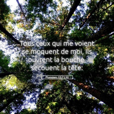 Picture 05 - Psaumes 22:7 LSG - Tous ceux qui me voient se moquent de moi, Ils - Bible Verse Picture
