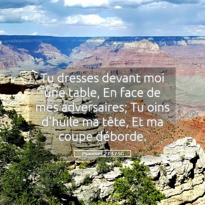 Picture 05 - Psaumes 23:5 LSG - Tu dresses devant moi une table, En face de mes - Bible Verse Picture