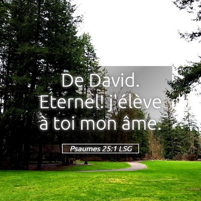 Picture 05 - Psaumes 25:1 LSG - De David. Eternel! j'élève à toi mon - Bible Verse Picture