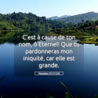 Picture 05 - Psaumes 25:11 LSG - C'est à cause de ton nom, ô Eternel! Que tu - Bible Verse Picture