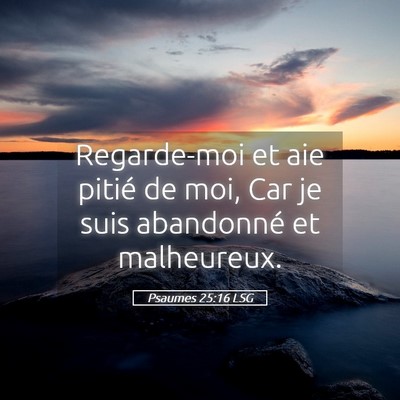 Picture 05 - Psaumes 25:16 LSG - Regarde-moi et aie pitié de moi, Car je suis - Bible Verse Picture