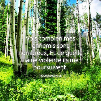 Picture 05 - Psaumes 25:19 LSG - Vois combien mes ennemis sont nombreux, Et de - Bible Verse Picture