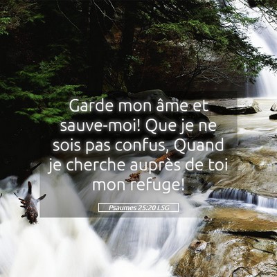 Picture 05 - Psaumes 25:20 LSG - Garde mon âme et sauve-moi! Que je ne sois pas - Bible Verse Picture