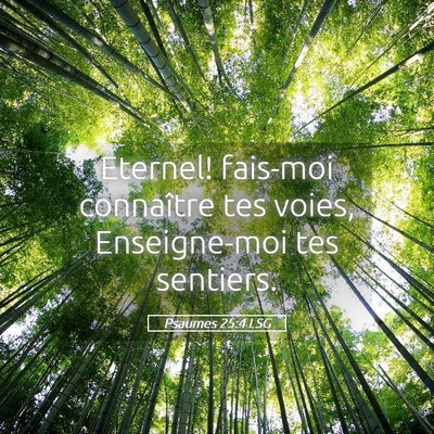 Picture 05 - Psaumes 25:4 LSG - Eternel! fais-moi connaître tes voies, - Bible Verse Picture