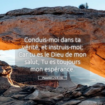 Picture 05 - Psaumes 25:5 LSG - Conduis-moi dans ta vérité, et instruis-moi; - Bible Verse Picture