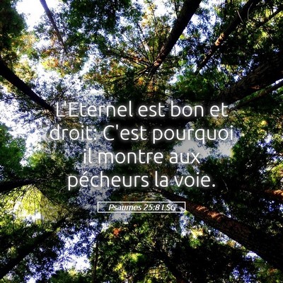 Picture 05 - Psaumes 25:8 LSG - L'Eternel est bon et droit: C'est pourquoi il - Bible Verse Picture