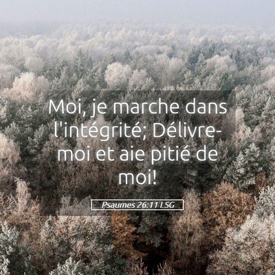 Picture 05 - Psaumes 26:11 LSG - Moi, je marche dans l'intégrité; Délivre-moi - Bible Verse Picture