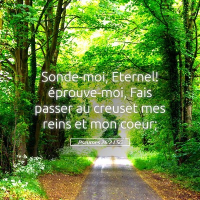 Picture 05 - Psaumes 26:2 LSG - Sonde-moi, Eternel! éprouve-moi, Fais passer au - Bible Verse Picture
