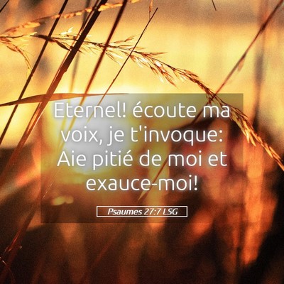 Picture 05 - Psaumes 27:7 LSG - Eternel! écoute ma voix, je t'invoque: Aie - Bible Verse Picture