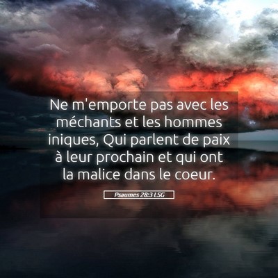 Picture 05 - Psaumes 28:3 LSG - Ne m'emporte pas avec les méchants et les hommes - Bible Verse Picture
