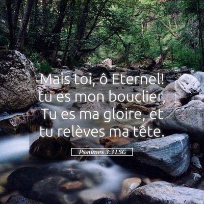 Picture 05 - Psaumes 3:3 LSG - Mais toi, ô Eternel! tu es mon bouclier, Tu es - Bible Verse Picture
