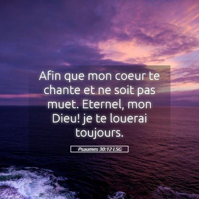 Picture 05 - Psaumes 30:12 LSG - Afin que mon coeur te chante et ne soit pas muet. - Bible Verse Picture