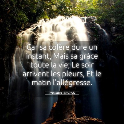 Picture 05 - Psaumes 30:5 LSG - Car sa colère dure un instant, Mais sa grâce - Bible Verse Picture