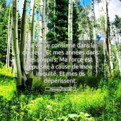 Picture 05 - Psaumes 31:10 LSG - Ma vie se consume dans la douleur, Et mes années - Bible Verse Picture