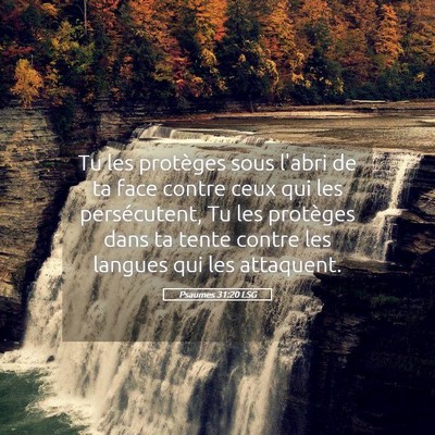 Picture 05 - Psaumes 31:20 LSG - Tu les protèges sous l'abri de ta face contre - Bible Verse Picture