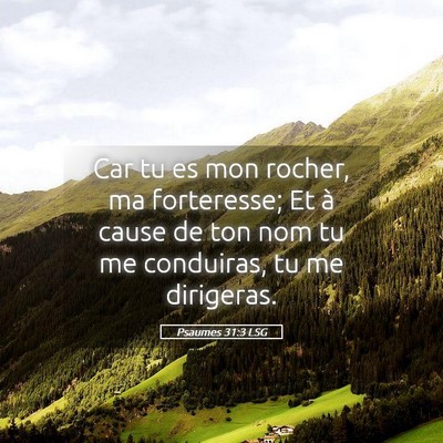 Picture 05 - Psaumes 31:3 LSG - Car tu es mon rocher, ma forteresse; Et à cause - Bible Verse Picture