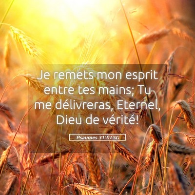 Picture 05 - Psaumes 31:5 LSG - Je remets mon esprit entre tes mains; Tu me - Bible Verse Picture