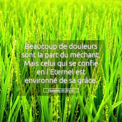 Picture 05 - Psaumes 32:10 LSG - Beaucoup de douleurs sont la part du méchant, - Bible Verse Picture