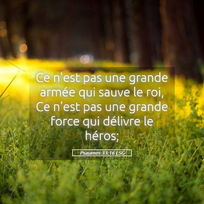 Picture 05 - Psaumes 33:16 LSG - Ce n'est pas une grande armée qui sauve le roi, - Bible Verse Picture