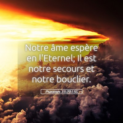 Picture 05 - Psaumes 33:20 LSG - Notre âme espère en l'Eternel; Il est notre - Bible Verse Picture